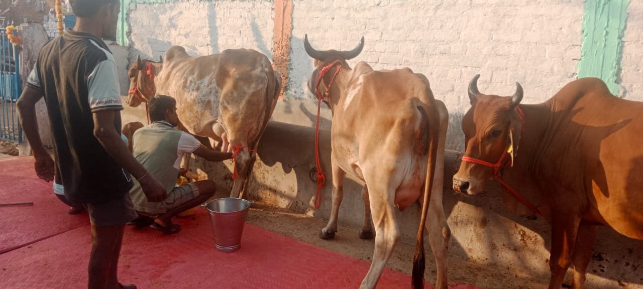 Meditation and Worship